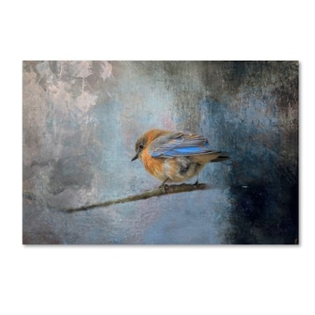 Jai Johnson 'Bluebird In Winter' Canvas Art,30x47